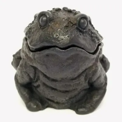 Frog Jewelry Box (Pack of 4)