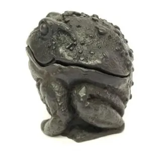 Frog Jewelry Box (Pack of 4)