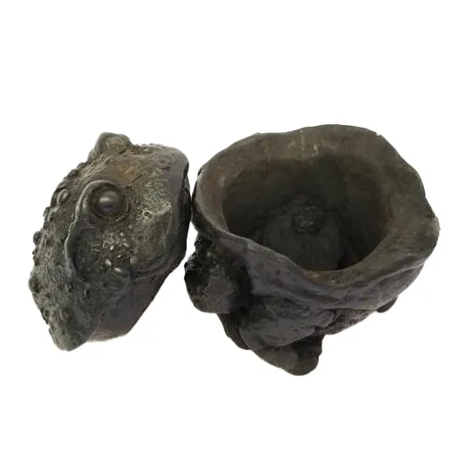 Frog Jewelry Box (Pack of 4)